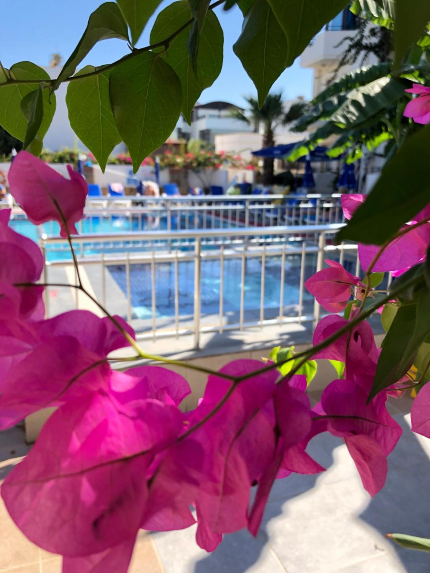 Palmiye Apart Otel Bodrum Kültér fotó